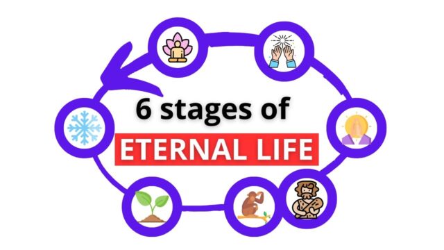 Six kingdoms, from minerals to the spiritual worlds
