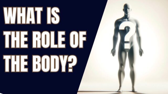 What the body is for, if you are not it