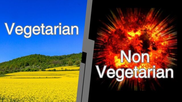 The case for vegetarian food, made from the bottom up